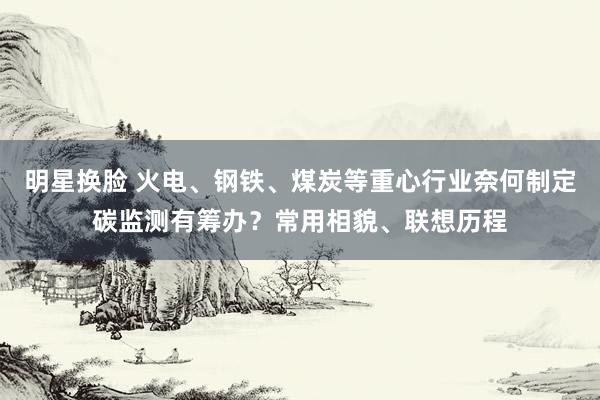 明星换脸 火电、钢铁、煤炭等重心行业奈何制定碳监测有筹办？常用相貌、联想历程