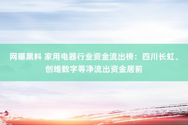 网曝黑料 家用电器行业资金流出榜：四川长虹、创维数字等净流出资金居前