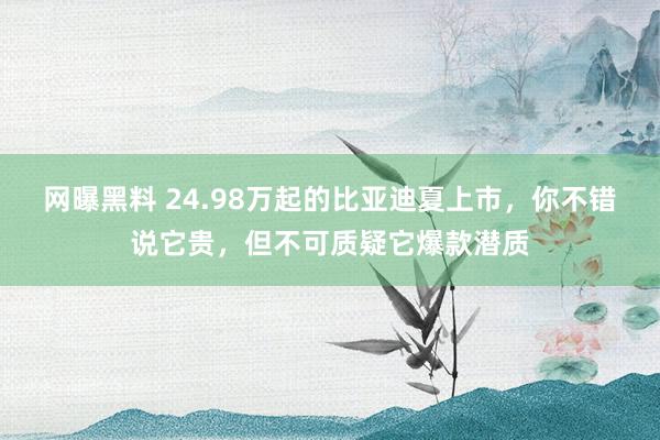 网曝黑料 24.98万起的比亚迪夏上市，你不错说它贵，但不可质疑它爆款潜质