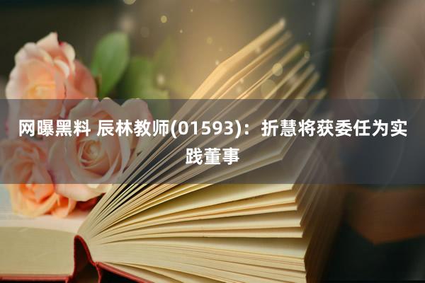 网曝黑料 辰林教师(01593)：折慧将获委任为实践董事